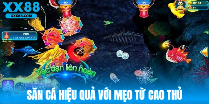 Mẹo bắn cá Long Vương ăn nhiều xu cho người chơi mới